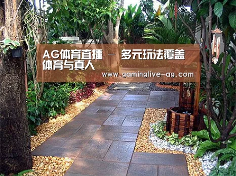 产品展示标题四