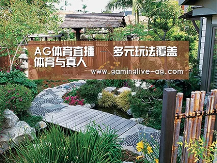 产品展示标题五