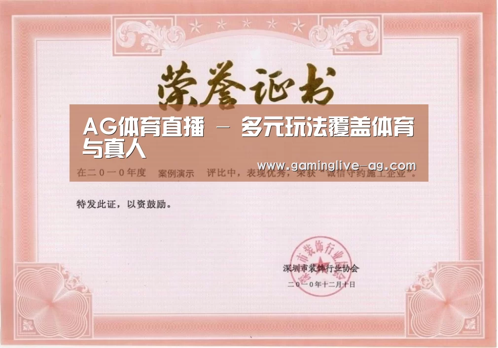 荣誉证书二