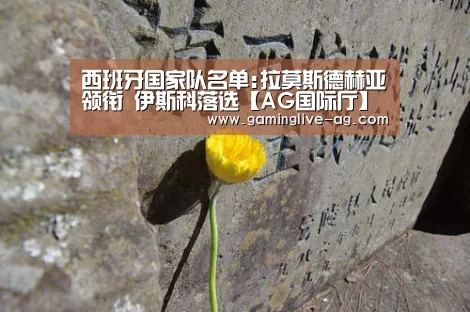 AG官网
