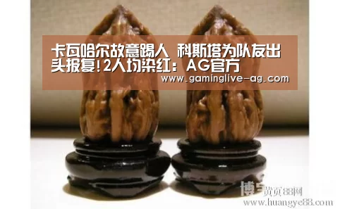 卡瓦哈尔故意踢人 科斯塔为队友出头报复!2人均染红:AG官方(图1) AG国际厅